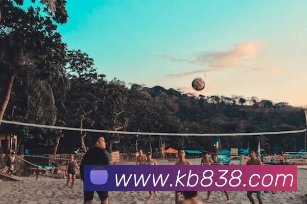 kb体育APP 封面图